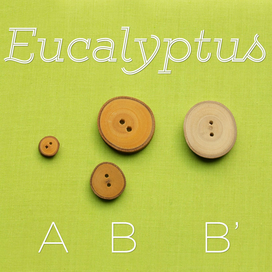 Eucalyptus-3