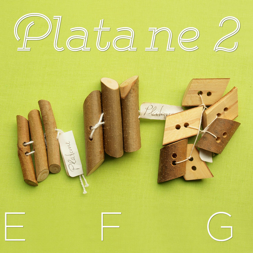 Platane-2